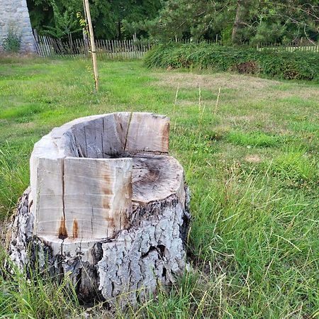 A La Salle De Jeux Et Son Jardin Autour De La Cabane Verte Dinant Extérieur photo
